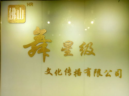 佛山舞星級文化傳播 融合傳統(tǒng)與現(xiàn)代的藝術使者