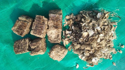 生物質(zhì)燃料熱值報(bào)價(jià) 廠家