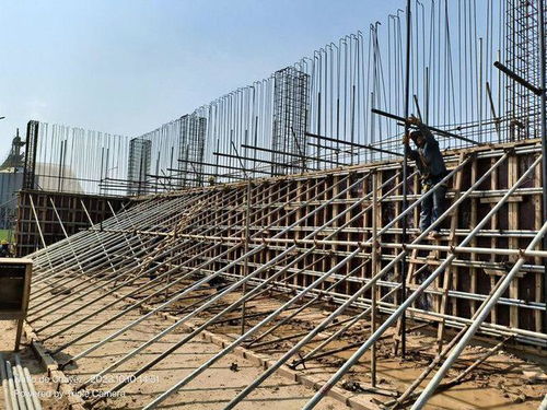 劉曉峰一行蒞臨玻利維亞圣胡利安大豆副產(chǎn)品加工廠項(xiàng)目并慰問員工